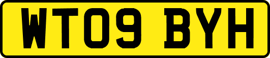 WT09BYH