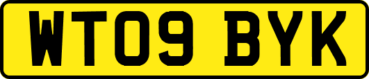 WT09BYK