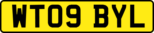 WT09BYL