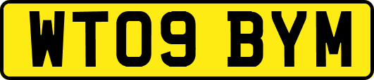 WT09BYM