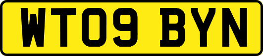 WT09BYN