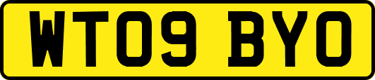 WT09BYO