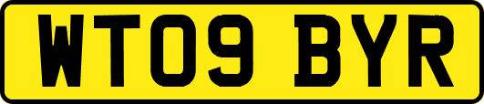 WT09BYR