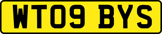 WT09BYS