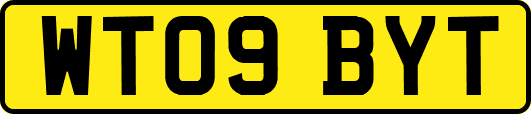 WT09BYT