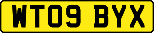 WT09BYX