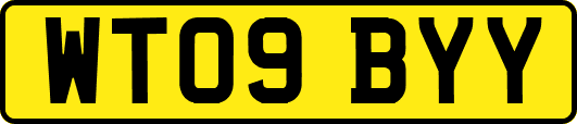 WT09BYY
