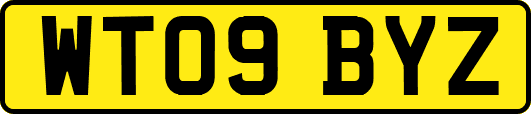 WT09BYZ