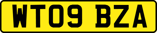 WT09BZA