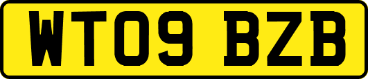 WT09BZB