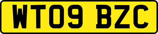 WT09BZC