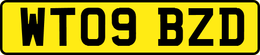 WT09BZD