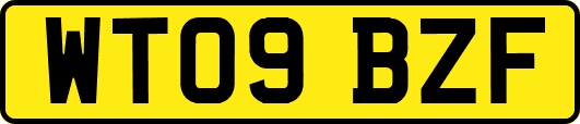 WT09BZF