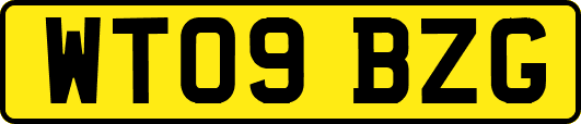 WT09BZG