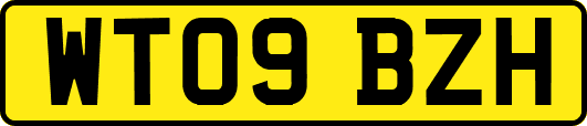 WT09BZH