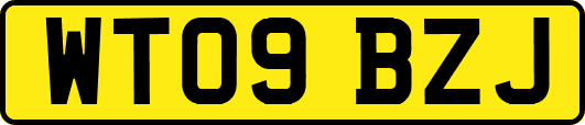 WT09BZJ