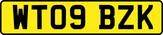 WT09BZK