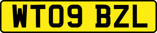 WT09BZL