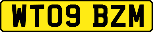 WT09BZM