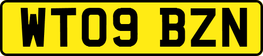 WT09BZN