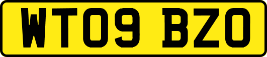 WT09BZO