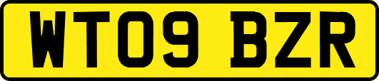 WT09BZR