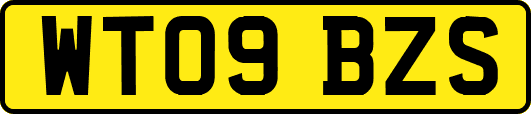 WT09BZS