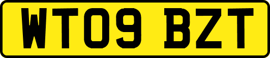 WT09BZT