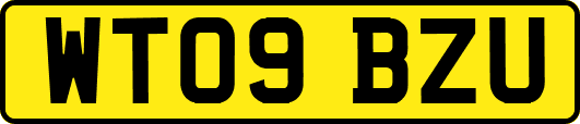 WT09BZU