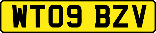 WT09BZV