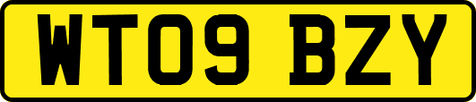 WT09BZY