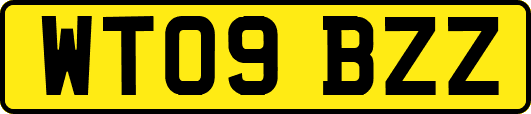 WT09BZZ