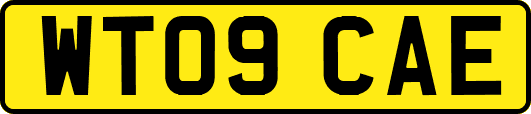 WT09CAE