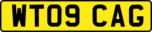 WT09CAG
