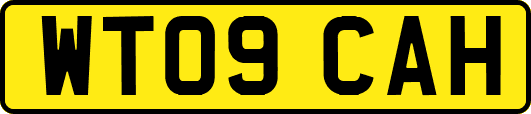 WT09CAH