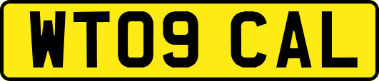 WT09CAL