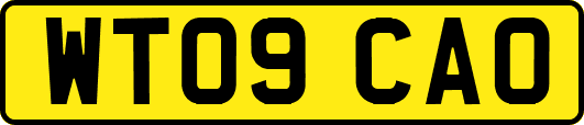 WT09CAO