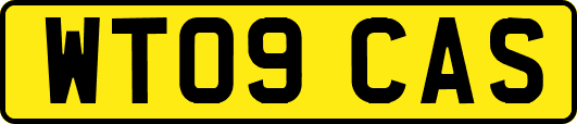 WT09CAS
