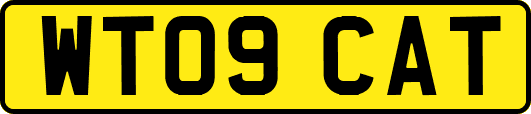 WT09CAT