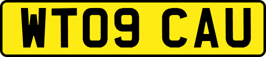 WT09CAU