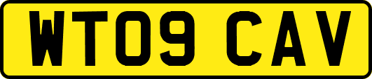 WT09CAV