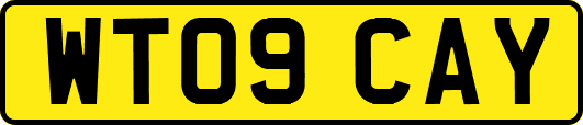 WT09CAY