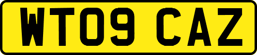 WT09CAZ