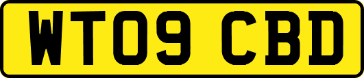 WT09CBD