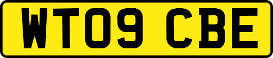 WT09CBE