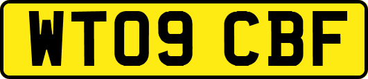 WT09CBF