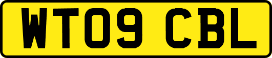 WT09CBL