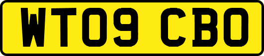 WT09CBO