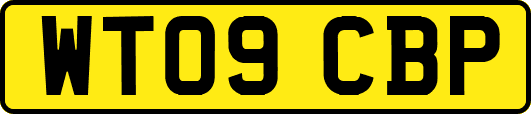 WT09CBP