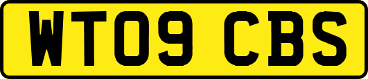 WT09CBS